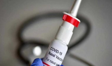 भारत बायोटेक ने लॉन्च की दुनिया की पहली सुई रहित Covid वैक्सीन