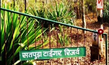 मप्र ने  तैयार किया देश का पहला वाइल्ड लाइफ इको सेंसेटिव जोनल प्लान