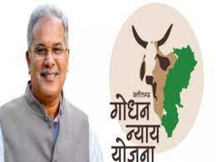 10 जनवरी को CM भूपेश बघेल गोधन न्याय योजना के हितग्राहियों को 7 करोड़ 5 लाख रूपए का करेंगे भुगतान