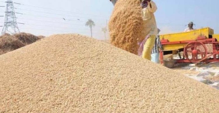 छत्तीसगढ़ में 106 लाख मीट्रिक टन से अधिक धान के उठाव के लिए डीओ जारी