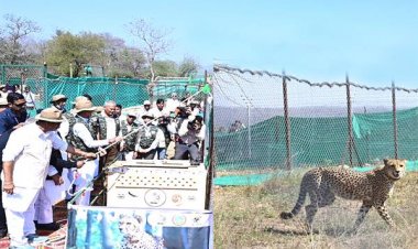 चीतों के आने से कूनो सेंचुरी बनेगी एशिया के आकर्षण का केन्द्र: CM शिवराज