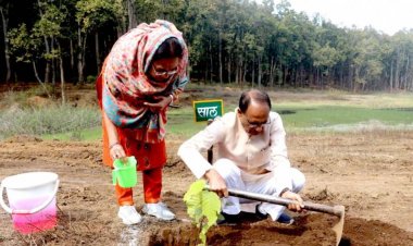 मुख्यमंत्री श्री चौहान के प्रतिदिन पौध-रोपण की गूँज लोकल से ग्लोबल स्तर तक