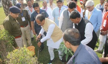 सतना में CM शिवराज ने लगाया आम का पौधा