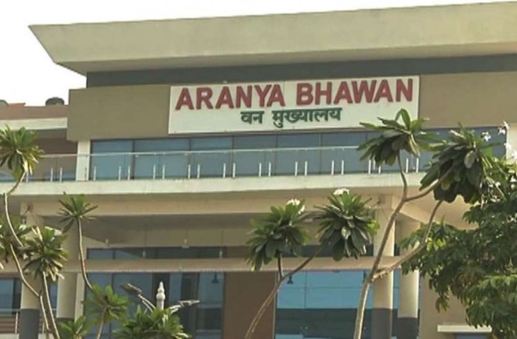 वन क्षेत्रों में अग्नि से सुरक्षा के व्यापक प्रबंध