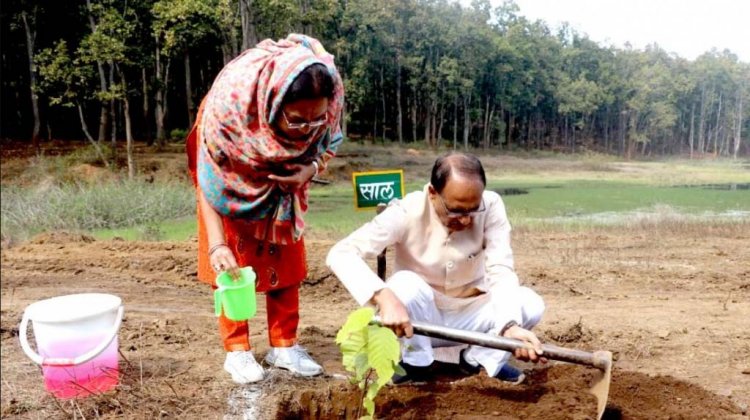 मुख्यमंत्री श्री चौहान के प्रतिदिन पौध-रोपण की गूँज लोकल से ग्लोबल स्तर तक