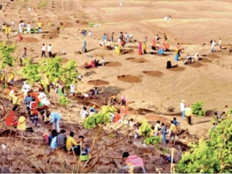 26 को हाथीपावा पहाड़ी पर हलमा के लिए जुटेंगे 50 हजार आदिवासी, श्रमदान करेंगे सीएम