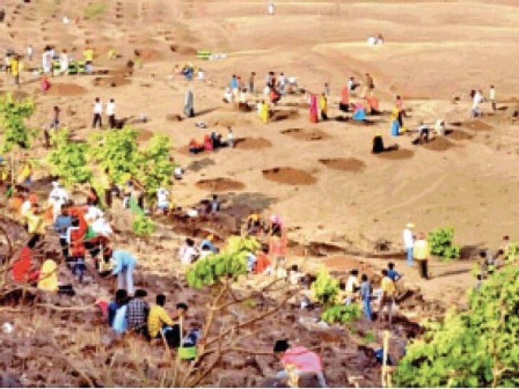 26 को हाथीपावा पहाड़ी पर हलमा के लिए जुटेंगे 50 हजार आदिवासी, श्रमदान करेंगे सीएम