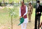 मुख्यमंत्री चौहान ने चैन्नई प्रवास के दौरान पौध-रोपण किया