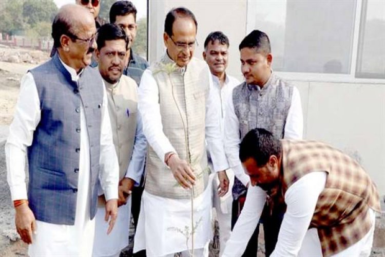 मुख्यमंत्री चौहान ने सामाजिक कार्यकर्ताओं के साथ पौध-रोपण किया