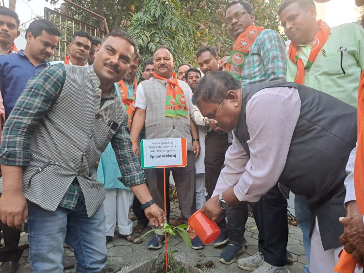 मुख्यमंत्री शिवराज सिंह चौहान के जन्मदिन पर भाजपा कार्यकर्ताओं ने किया पौधारोपण