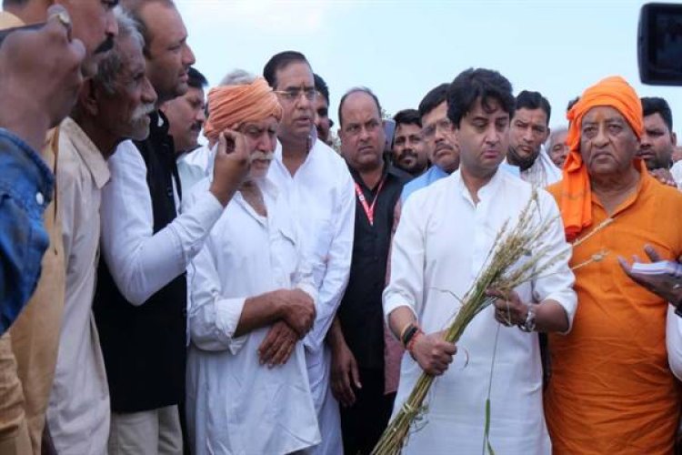 संकट की घड़ी में किसानों के साथ पूरी ताकत के साथ खड़ी है सरकार : केन्द्रीय मंत्री सिंधिया