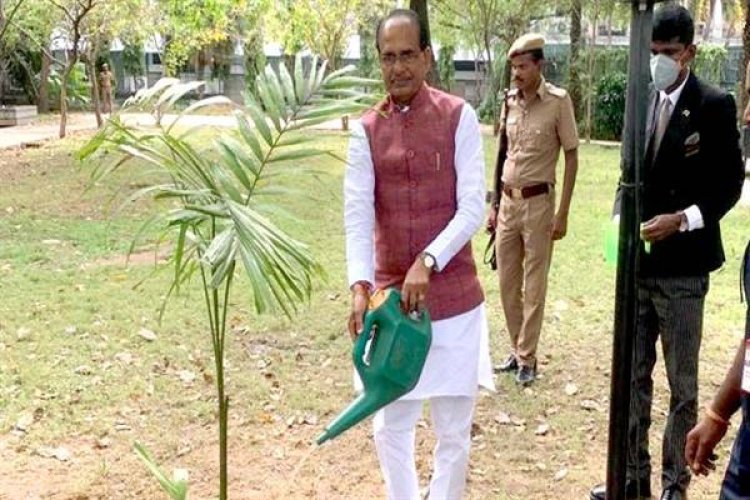 मुख्यमंत्री चौहान ने चैन्नई प्रवास के दौरान पौध-रोपण किया