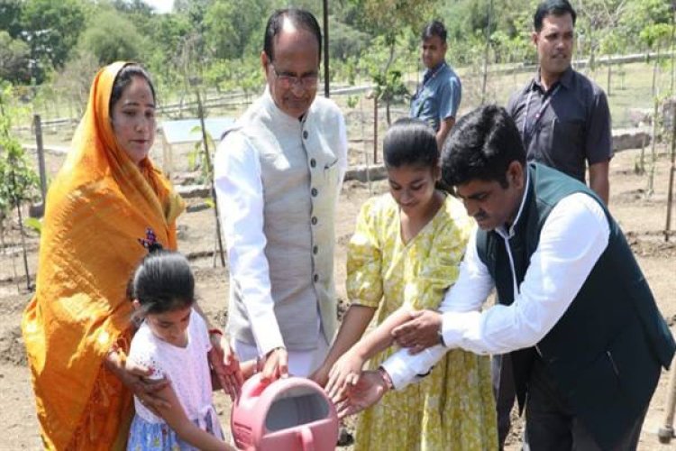 मुख्यमंत्री ने लगाए पीपल, अमरूद और जामुन के पौधे