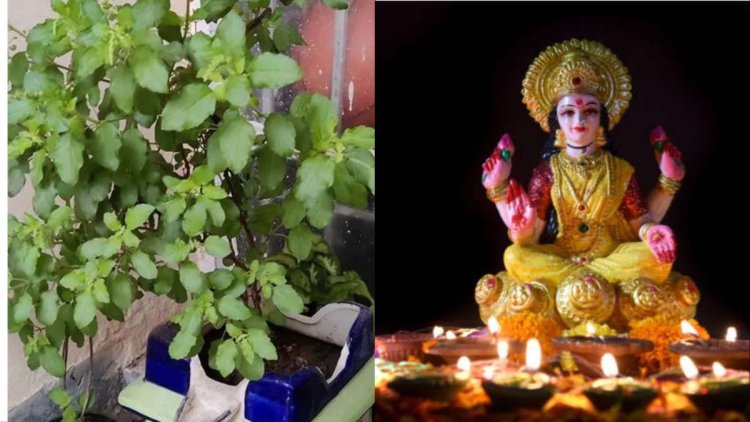 महायोग में मनेगी अक्षय तृतीया, रवि योग के साथ सर्वार्थ सिद्धि योग और अमृत सिद्धि योग भी बनेंगे