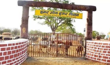 गौठान बन रहे हैं आजीविका सृजन एवं जीवनयापन का सशक्त माध्यम