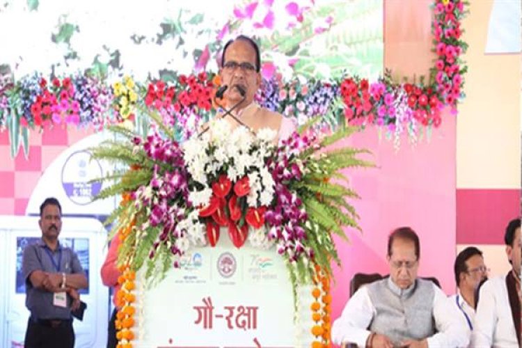 अब पशुओं के इलाज के लिए भी उपलब्ध होगी एम्बुलेंस : मुख्यमंत्री