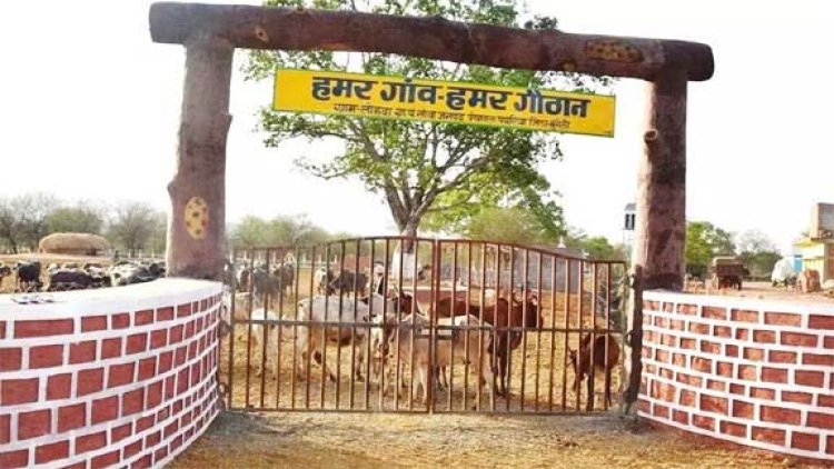 गौठान बन रहे हैं आजीविका सृजन एवं जीवनयापन का सशक्त माध्यम
