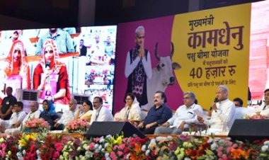 मुख्यमंत्री ने पशुपालकों के खातों में डीबीटी से भेजे 175 करोड़ रुपए