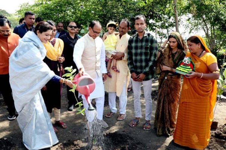 मुख्यमंत्री चौहान ने किया पौध-रोपण
