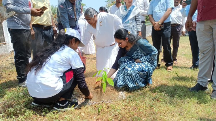 नेहरू पार्क में मनाया गया विश्व पर्यावरण दिवस...