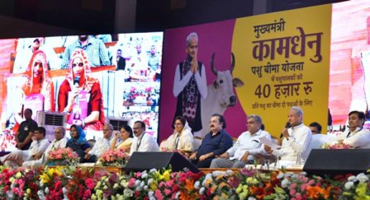 मुख्यमंत्री ने पशुपालकों के खातों में डीबीटी से भेजे 175 करोड़ रुपए
