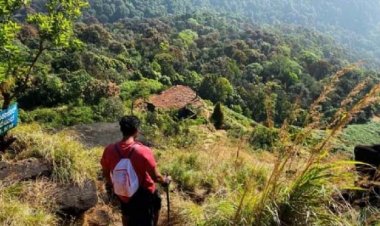 CM गहलोत ने दी 15 करोड़ रुपए की वित्तीय मंजूरी, आधुनिक उपकरणों से मजबूत होगी वन्यजीवों की निगरानी