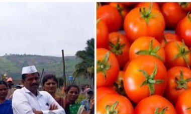 टमाटर ने किसान को बनाया करोड़पति, 1 महीने में ही कमाए डेढ़ करोड़ रुपए