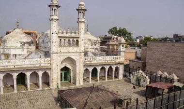 हिंदू पक्ष का दावा, ज्ञानवापी सर्वे में तहखाने में खंडित मूर्तियां, त्रिशूल, दीवारों पर हाथी के सूंढनुमा आकृति मिली