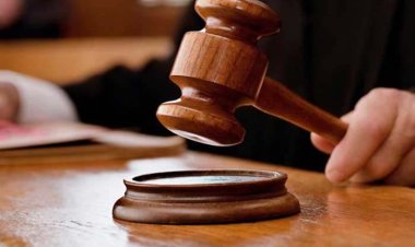 संविदा कर्मी को राहत, सभी वर्किंग वीमन मेटरनिटी लीव की हकदार: हाईकोर्ट