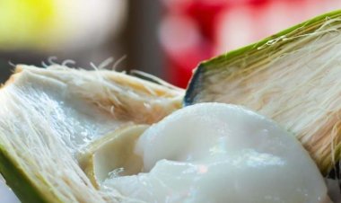 get rid of wrinkles: झुर्रियों से छुटकारा दिलाने में रामबाण है नारियल की मलाई, जानें उपयोग की विधि और अन्य फायदे