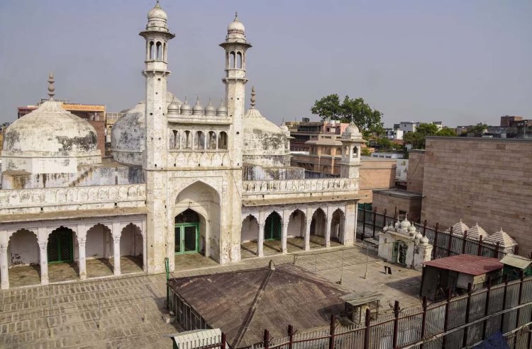हिंदू पक्ष का दावा, ज्ञानवापी सर्वे में तहखाने में खंडित मूर्तियां, त्रिशूल, दीवारों पर हाथी के सूंढनुमा आकृति मिली