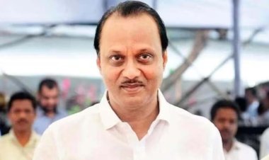 अजित पवार ने पुलिस की तीन एकड़ जमीन नीलाम की: पूर्व कमिश्नर का दावा