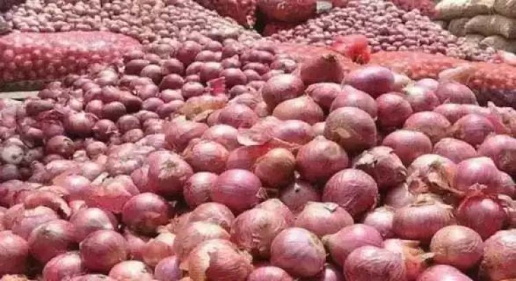 प्याज की कीमत चिंता का विषय, एक्शन में केंद्र सरकार