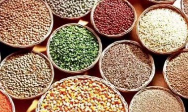 मप्र के मिलेटस स्नैक्स ने पूरे देश मचाई धूम, बढी मांग