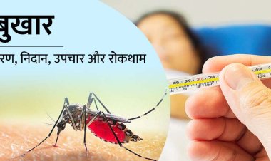 डेंगू ने बदला रूप, बच्चों के फेफड़े औरबड़ों के लिवर पर असर