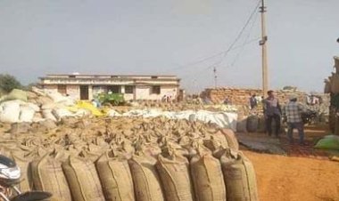 खरीदी केंद्र पर 13 करोड़ का धान चोरी और खराब,  गो ग्रीन कंपनी के डायरेक्टर सहित 3 पर मामला दर्ज