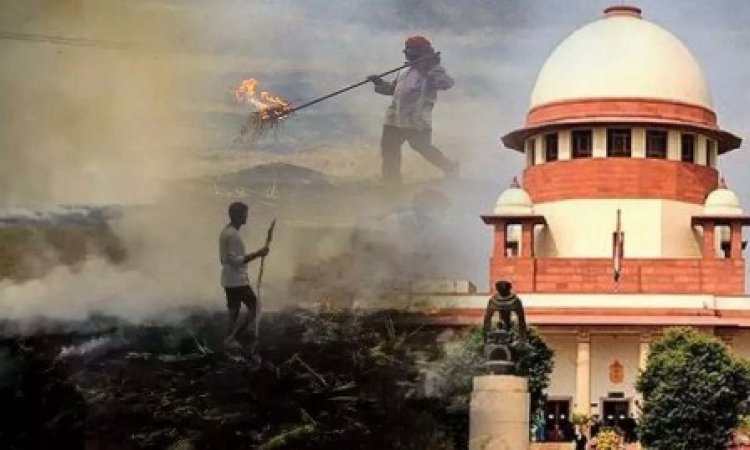 वायु प्रदूषण पर सुप्रीम कोर्ट सख्त, कहा-किसानों को खलनायक बनाया जा रहा