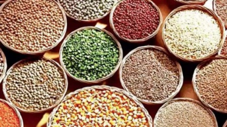 मिलेट फसलों को बढ़ावा देने कृषि मंत्री ने दिए निर्देश