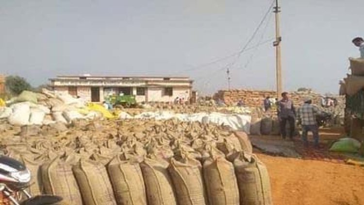 खरीदी केंद्र पर 13 करोड़ का धान चोरी और खराब,  गो ग्रीन कंपनी के डायरेक्टर सहित 3 पर मामला दर्ज