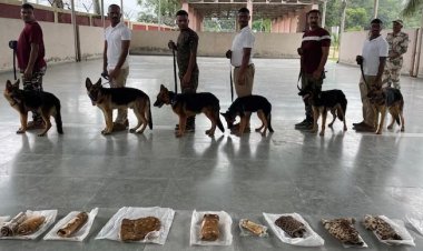 वन्यप्राणियों की रक्षा करेंगे कुत्ते, फॉरेस्ट के 17 डॉग स्क्वाड को दी जा रही ट्रेनिंग