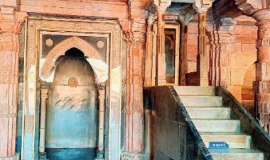 भोजशाला: हिंदू पक्ष का दावा, एएसआई  को सर्वे में खुदाई में मिलीं सीढ़ियां और बेसमेंट