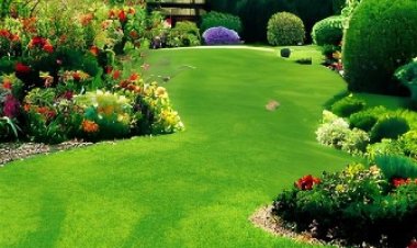 घर के आसपास लगाएं घास, गर्मी से मिलेगी राहत, ध्वनि प्रदूषण भी होगा कम, जानिए कैसे ?