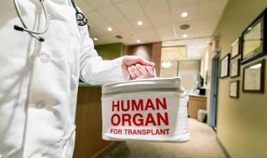 अंग प्रत्यारोपण कार्यक्रम को आगे बढ़ाने के लिए चिकित्सा विभाग उठा रहा जरूरी कदम, सोटो स्टीयरिंग कमेटी का किया पुनर्गठन