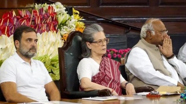 सर्वसम्मति से सीपीसी अध्यक्ष बनीं सोनिया गांधी, राहुल गांधी से लोकसभा का नेता प्रतिपक्ष बनने का आग्रह