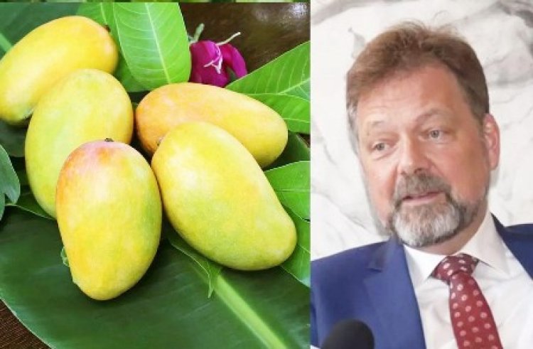 भारतीय आम की पहली खेप पहुंची बेल्जियम, यूरोपीय सुपरमार्केट में मनाया गया