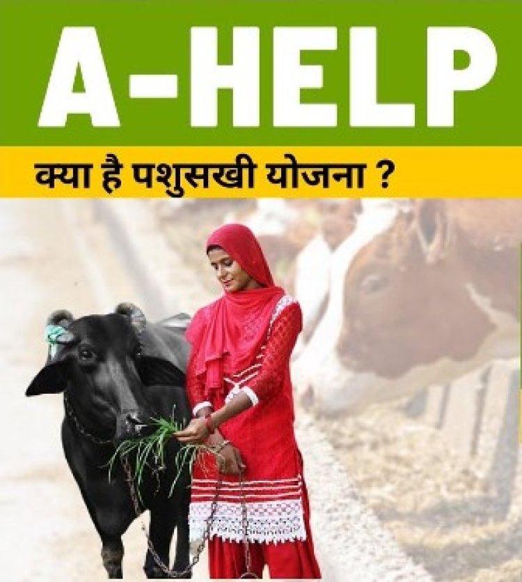 पशुपालन विभाग की ए-हेल्प योजना का सोमवार को होगा शुभारम्भ