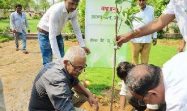 मुख्यमंत्री वृक्षारोपरण महाअभियान के तहत आरण्य भवन में पौधारोपण