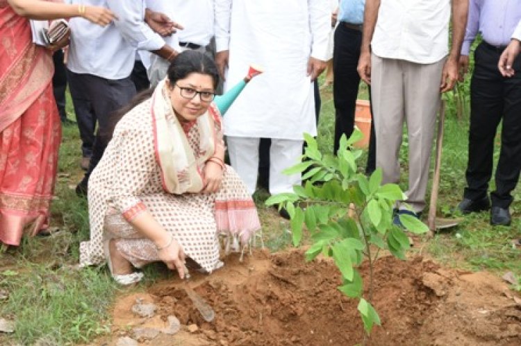 अन्तरराष्ट्रीय सहकारिता दिवस समारोह का आयोजन