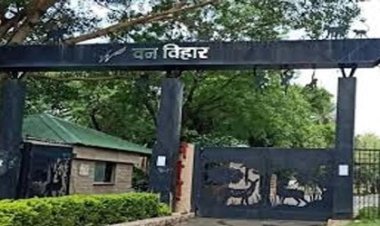 एक से सात अक्टूबर तक मनेगा वन्य-प्राणी सप्ताह