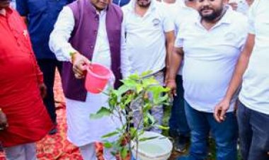 କେନ୍ଦୁଝର ରାଇକଳାରେ ' ମା ପାଇଁ ଗଛଟିଏ ' କାର୍ଯ୍ୟକ୍ରମରେ ମୁଖ୍ୟମନ୍ତ୍ରୀ ଶ୍ରୀ ମୋହନ ଚରଣ ମାଝୀ ବୃକ୍ଷ ରୋପଣ କରୁଛନ୍ତି